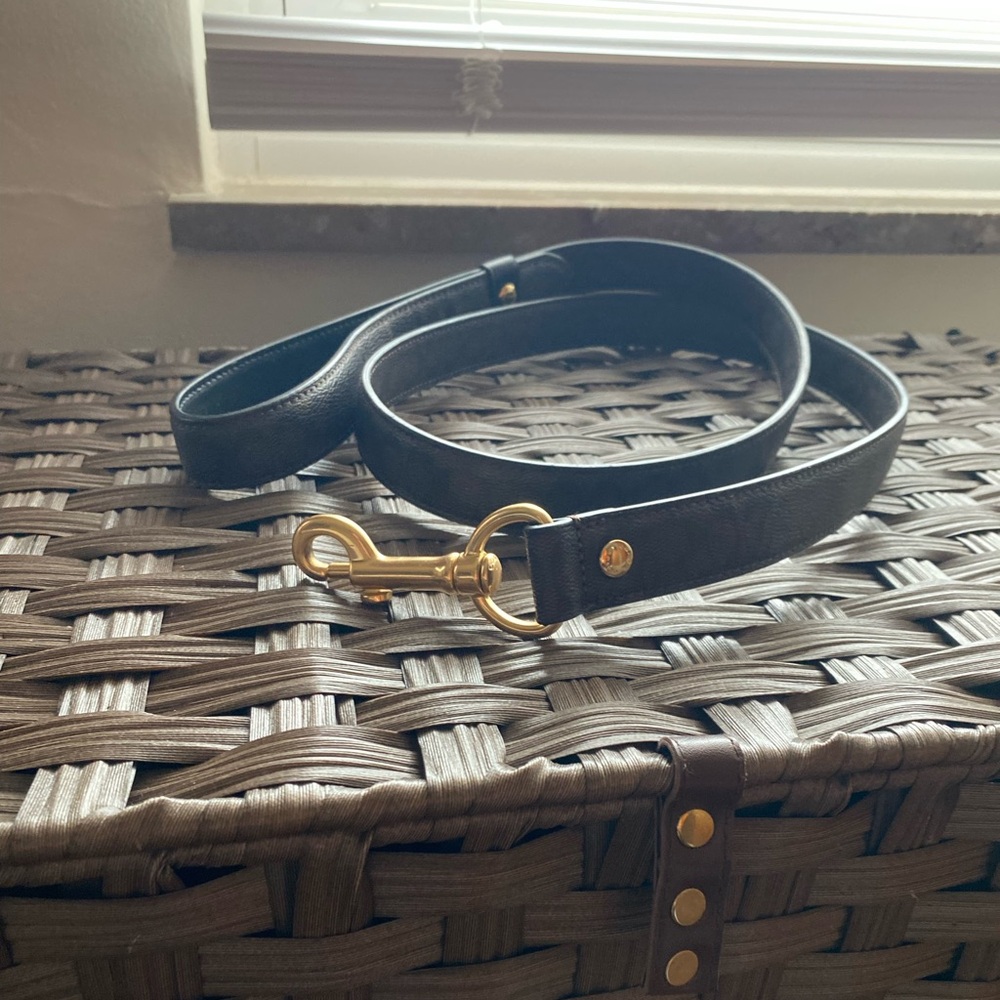 Brown Coach Dog Leash